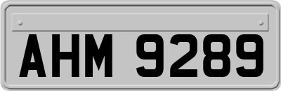 AHM9289