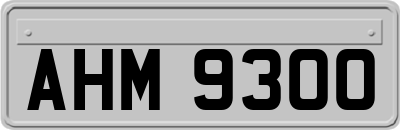 AHM9300