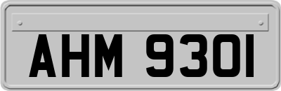 AHM9301