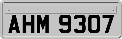 AHM9307