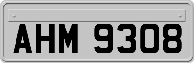 AHM9308