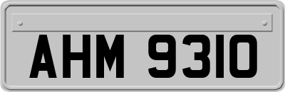 AHM9310