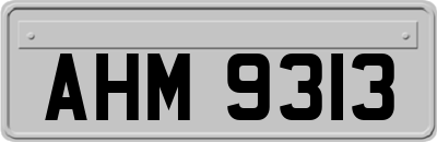 AHM9313