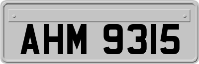 AHM9315