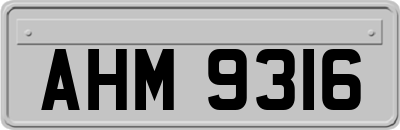AHM9316