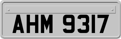 AHM9317