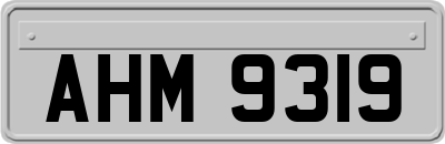 AHM9319