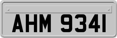 AHM9341