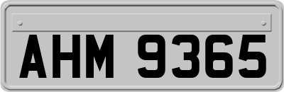 AHM9365