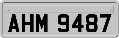 AHM9487