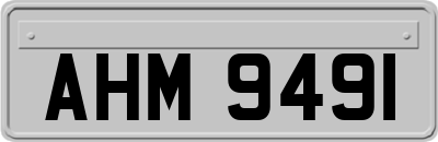 AHM9491