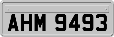AHM9493