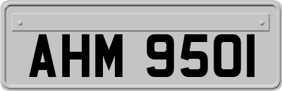 AHM9501