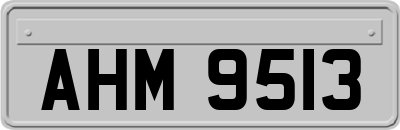 AHM9513
