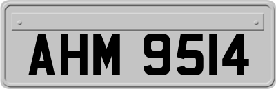 AHM9514