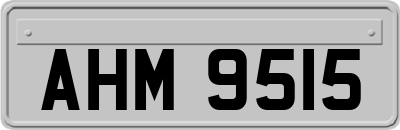AHM9515