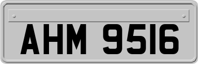 AHM9516