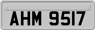 AHM9517