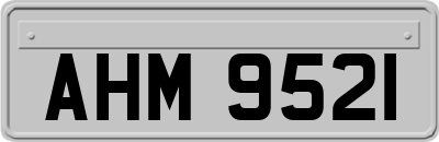AHM9521