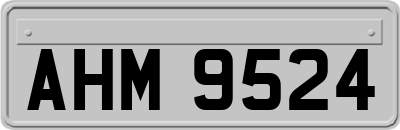 AHM9524