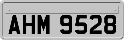 AHM9528