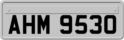 AHM9530