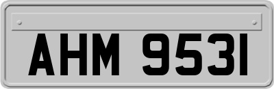 AHM9531