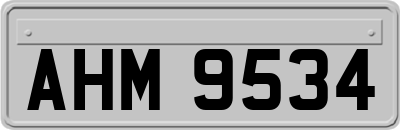 AHM9534