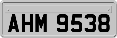 AHM9538
