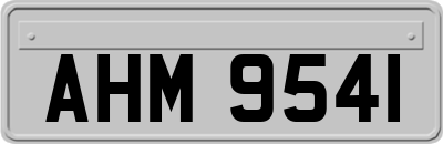 AHM9541