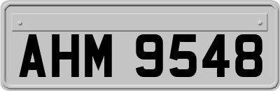 AHM9548