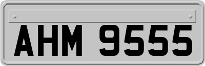 AHM9555