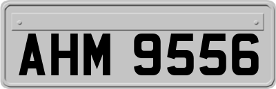 AHM9556