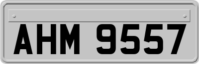 AHM9557