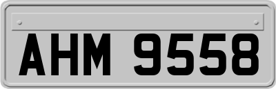 AHM9558