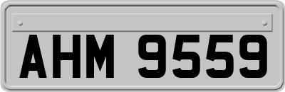 AHM9559