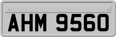 AHM9560