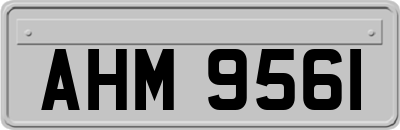 AHM9561