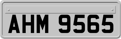 AHM9565