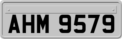 AHM9579