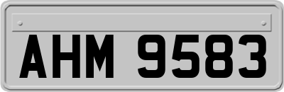 AHM9583