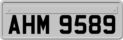 AHM9589