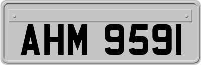 AHM9591
