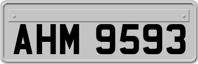 AHM9593
