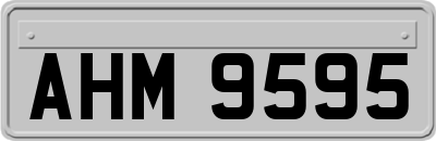 AHM9595