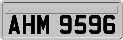 AHM9596