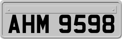 AHM9598