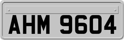 AHM9604