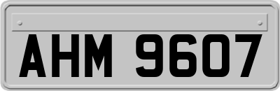 AHM9607