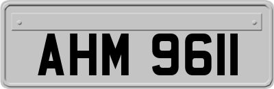 AHM9611